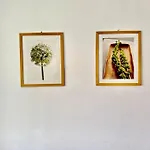 Stephanie Apartament *