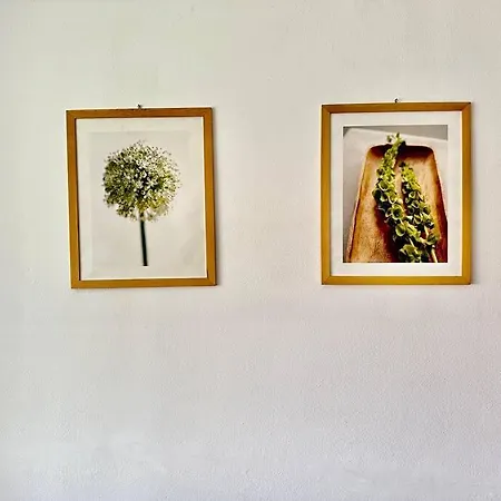 Stephanie Appartamento *